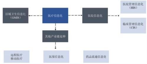 2021年中国医疗健康信息化行业市场投资建议可行性研究及市场规模分析预测 技术服务和软件开发驱动增长